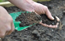 adding mulch and more to maintain your garden